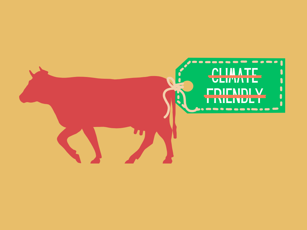 climate friendly beef