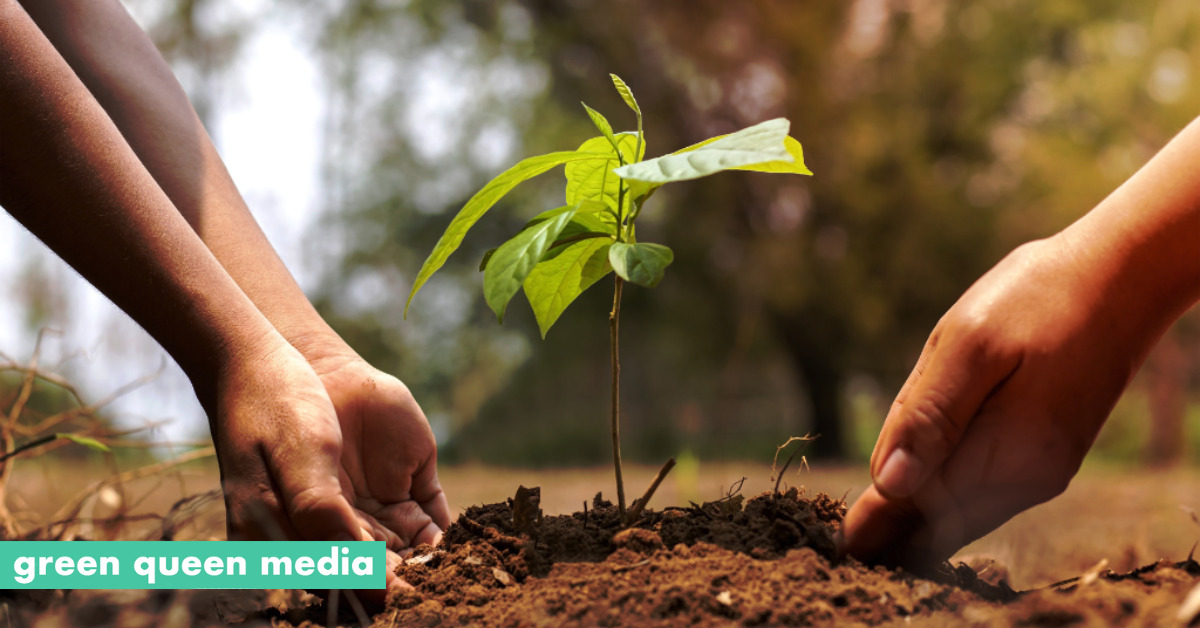 Regenerative Agriculture Food Companies At Risk of Greenwashing