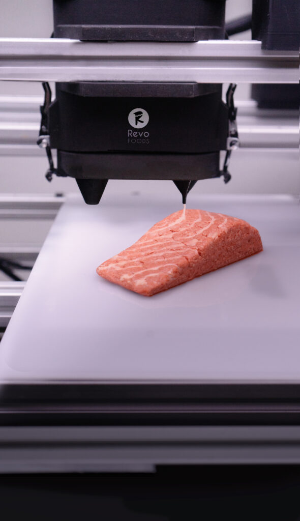 3d printed salmon