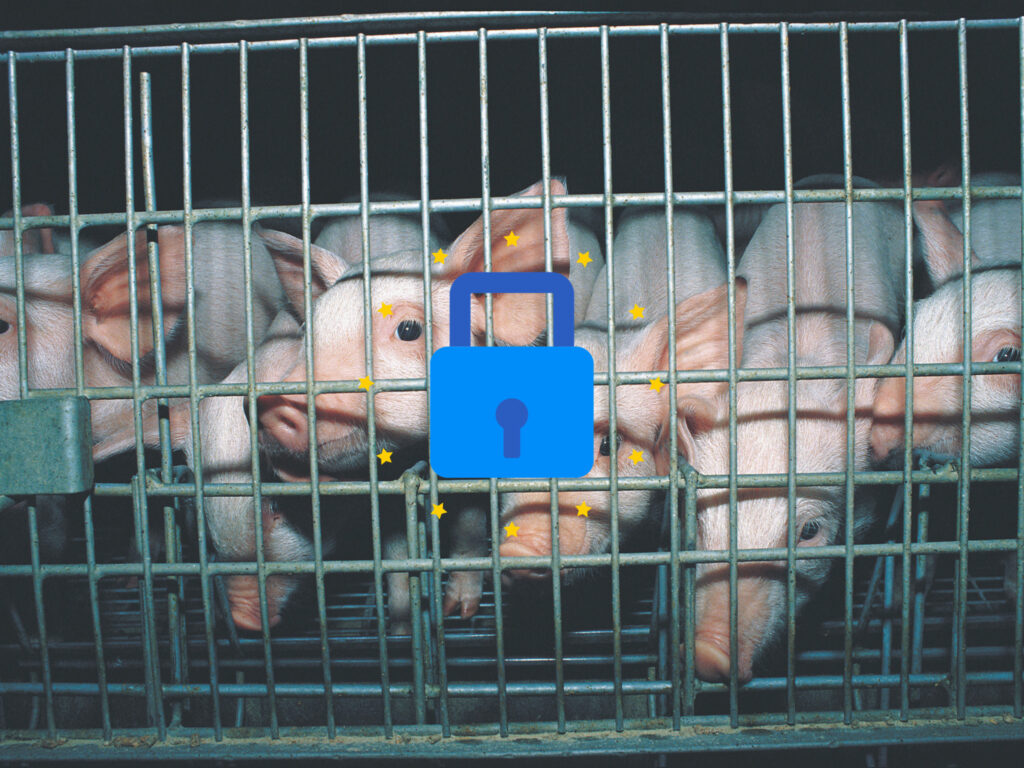 eu caged farming ban