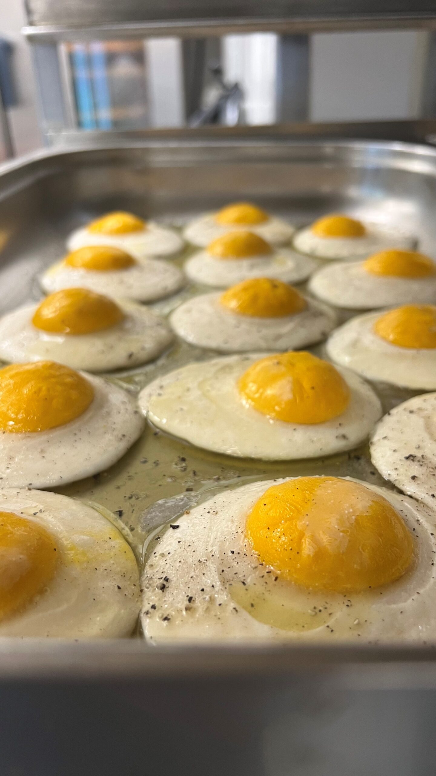 israelhamaswarfoodtechveganmealsarmysoldiersaltprotein