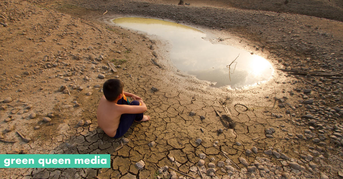 WWF: 'Everyone Has a Role to Play in Tackling the Water Crisis'