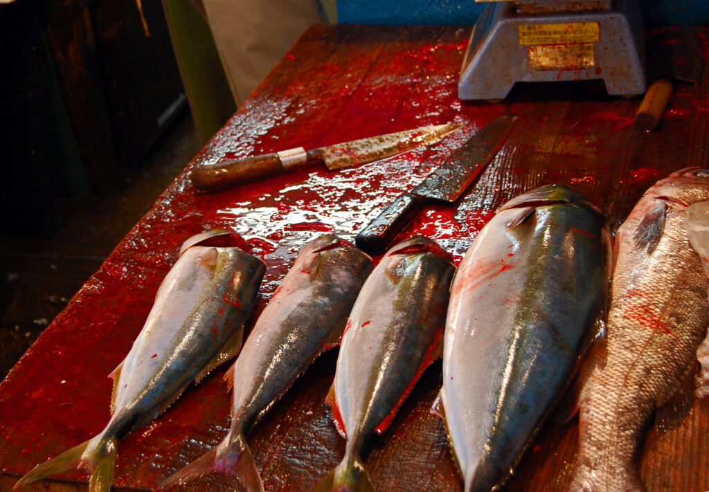 seafood cruelty
