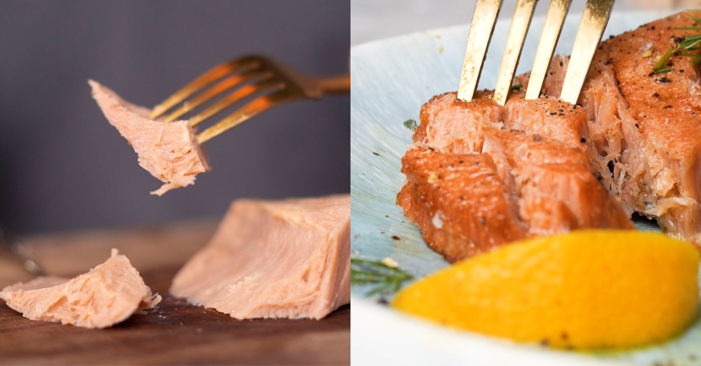 canadawildsalmoninvestmentproteinindustrieswholecutplantbased