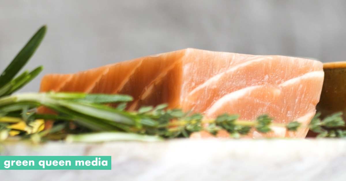 Canada Government Invests 11.4M in WholeCut Vegan Salmon