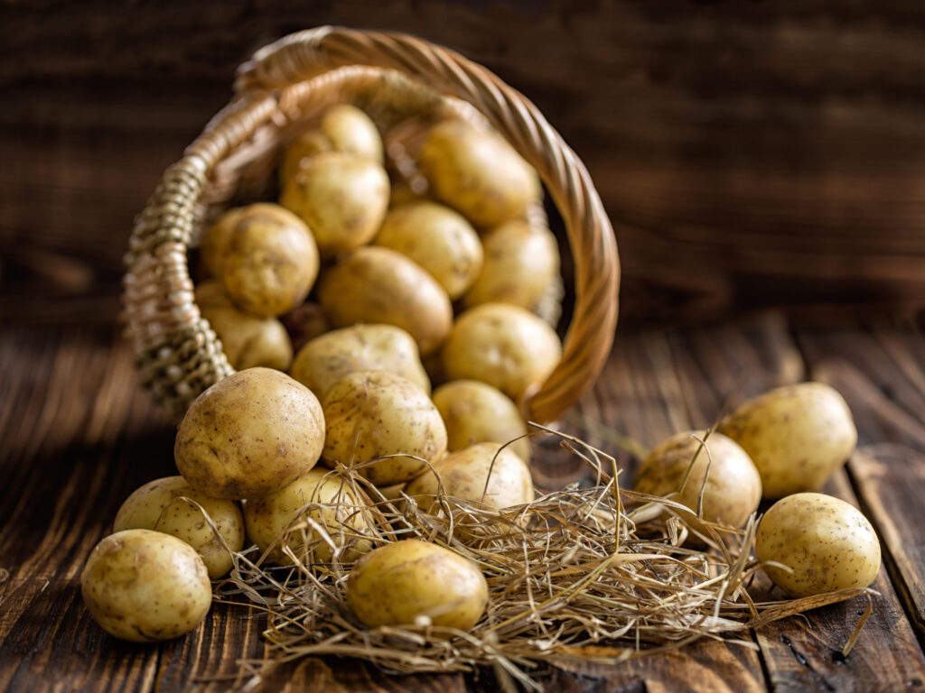 potato shortage