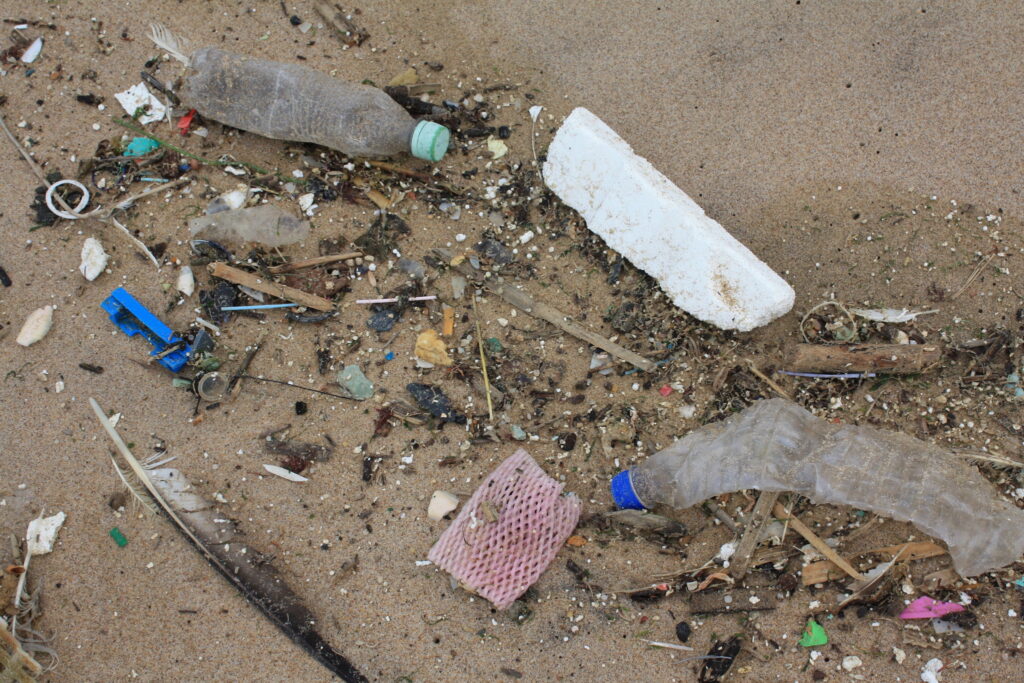soil plastic pollution