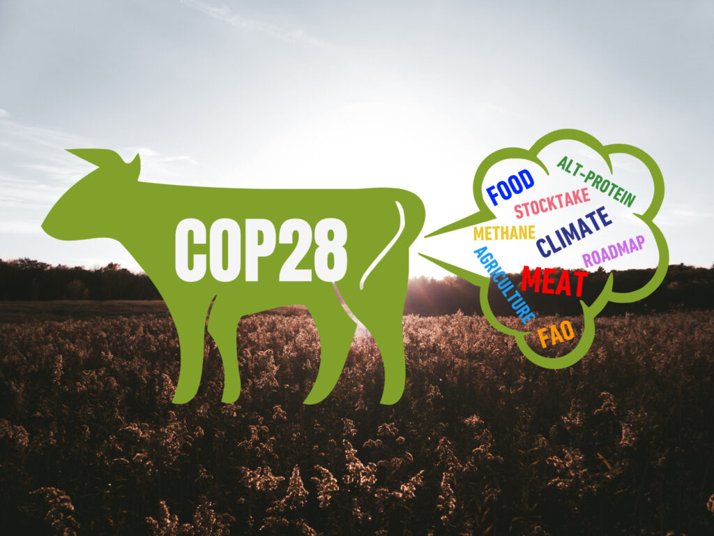 cop28 food outcomes