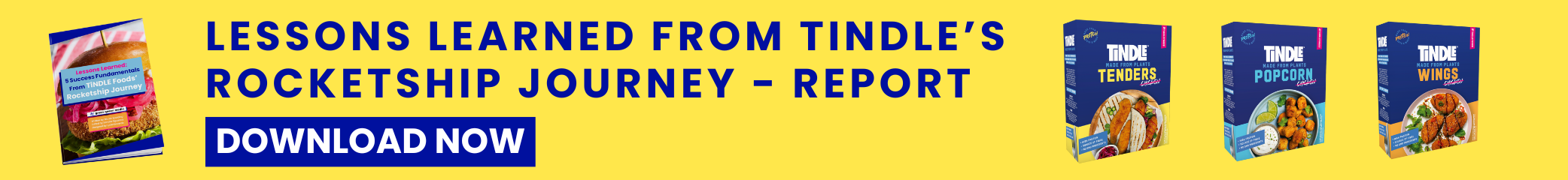 TiNDLE Report Header Banner