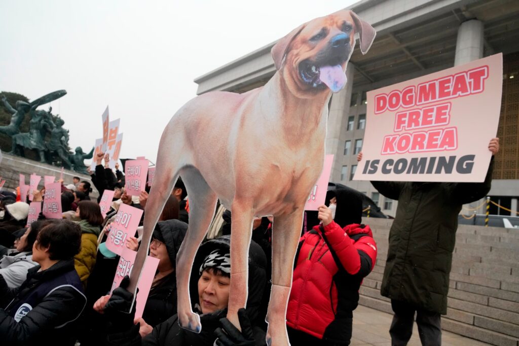 korea dog meat ban