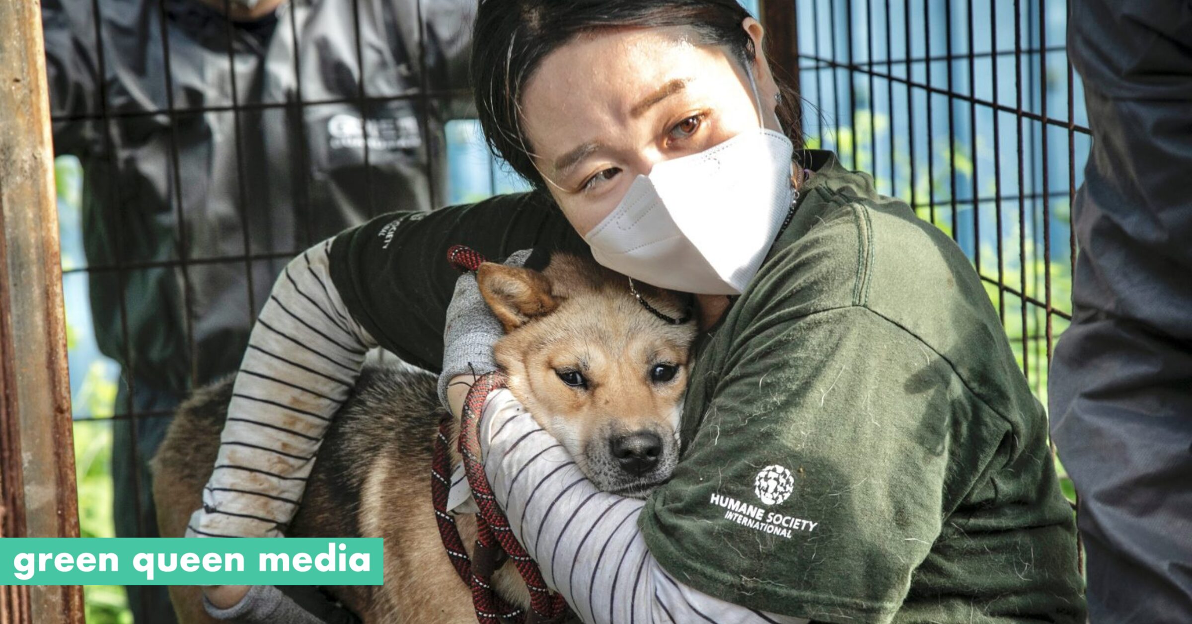 southkoreadogmeatbansocial Green Queen