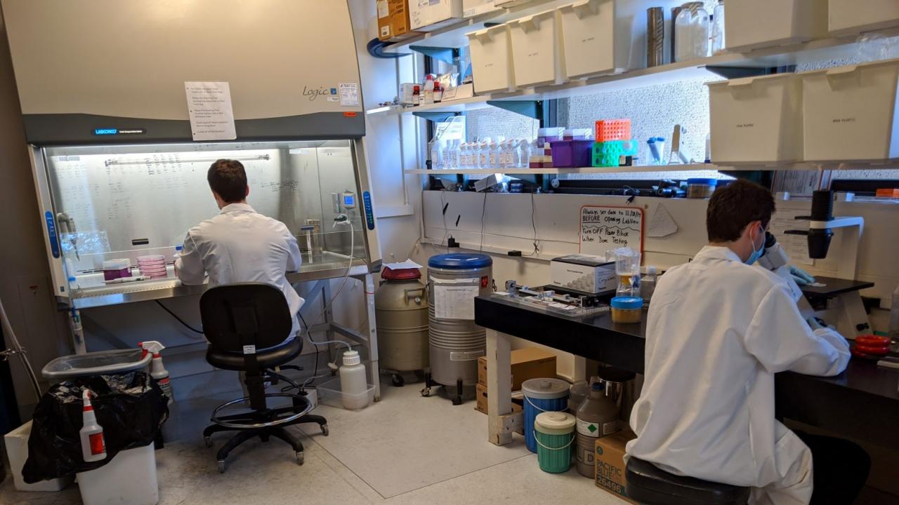 ucdavisaltproteincentrelabgrownmeatstudy3 Green Queen