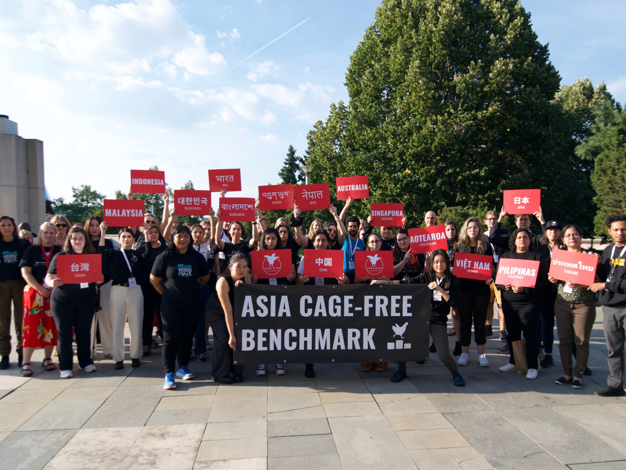 cage free asia