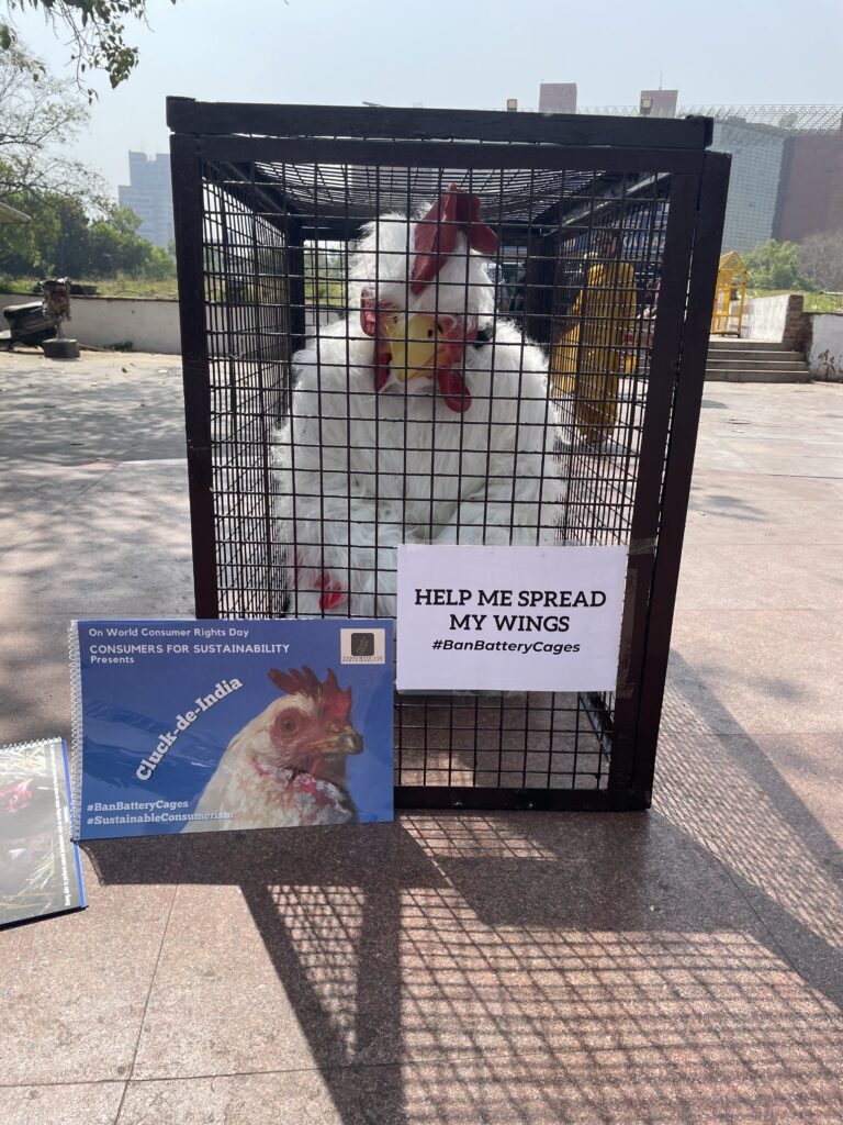 cage free eggs asia