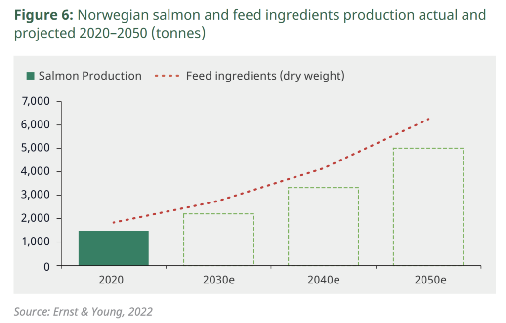 salmon consumption