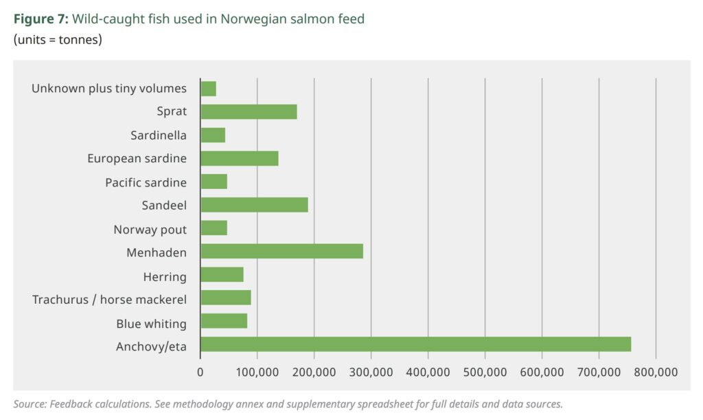 salmon overfishing