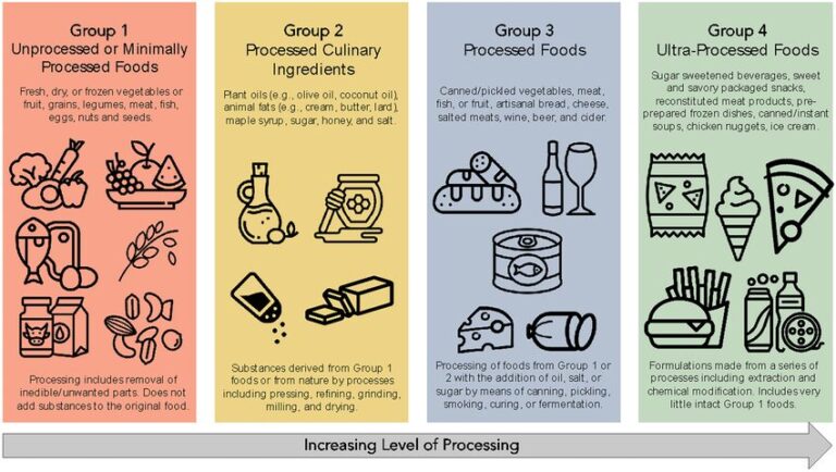 US FDA to Develop Definition of Ultra-Processed Foods