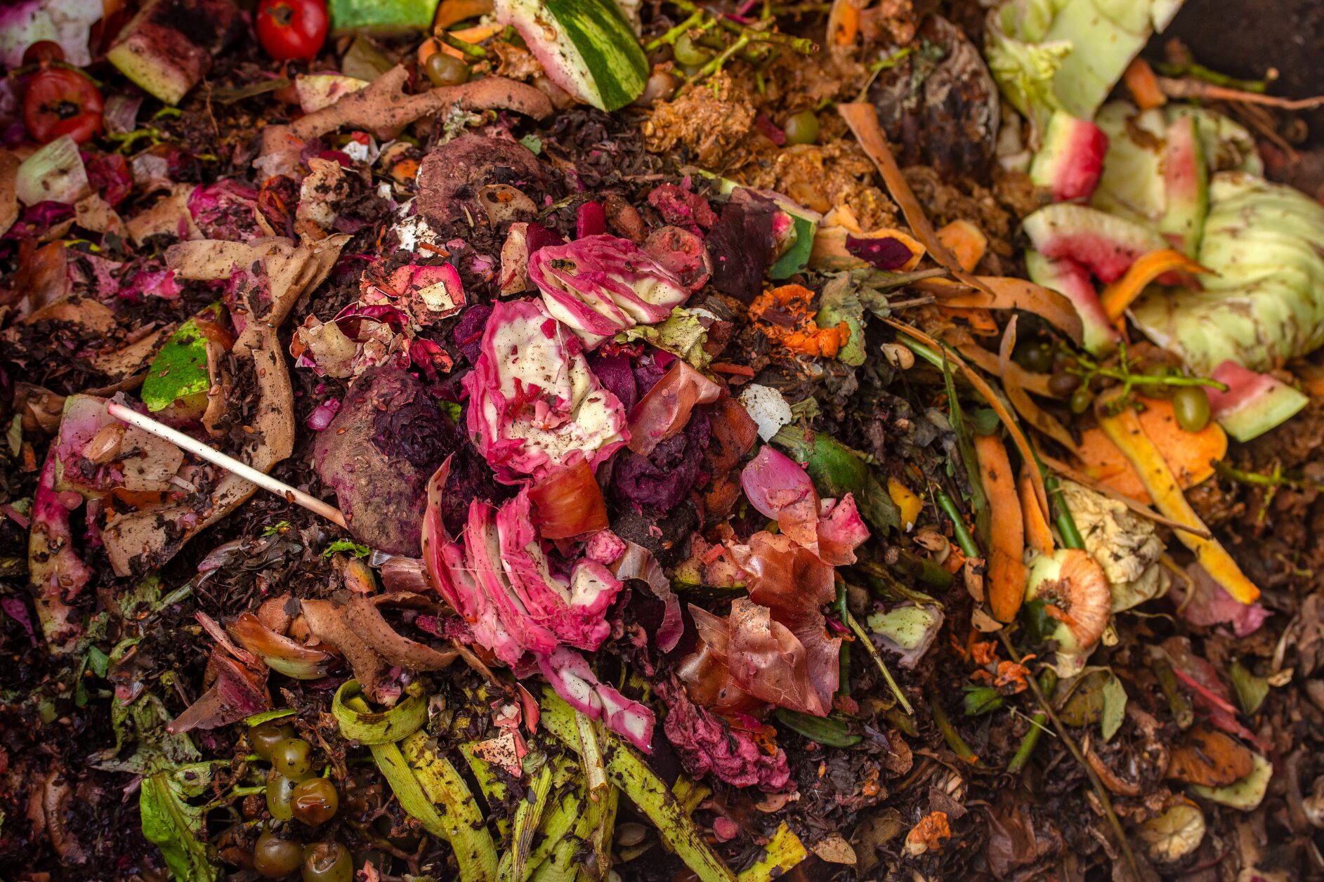 foodwastereportwrapunbillionmealshouseholdclimate2 Green Queen