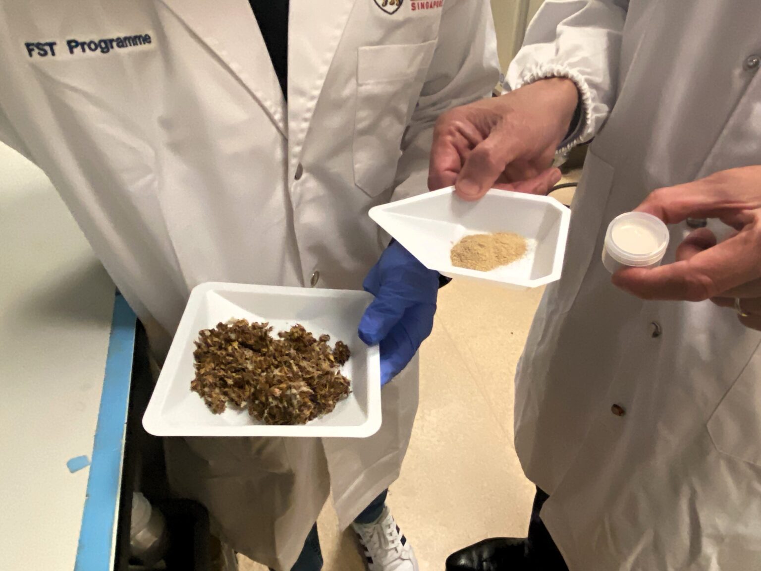 Scientists Extract Protein Out of Brewers' Spent Grain from Beer