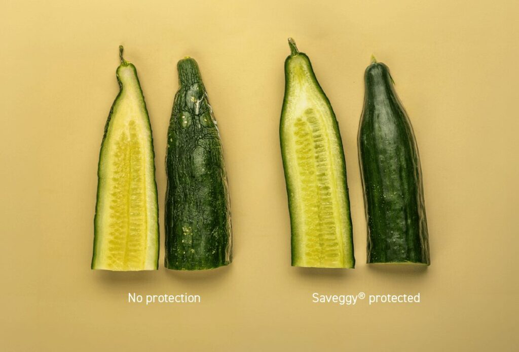saveggy cucumber