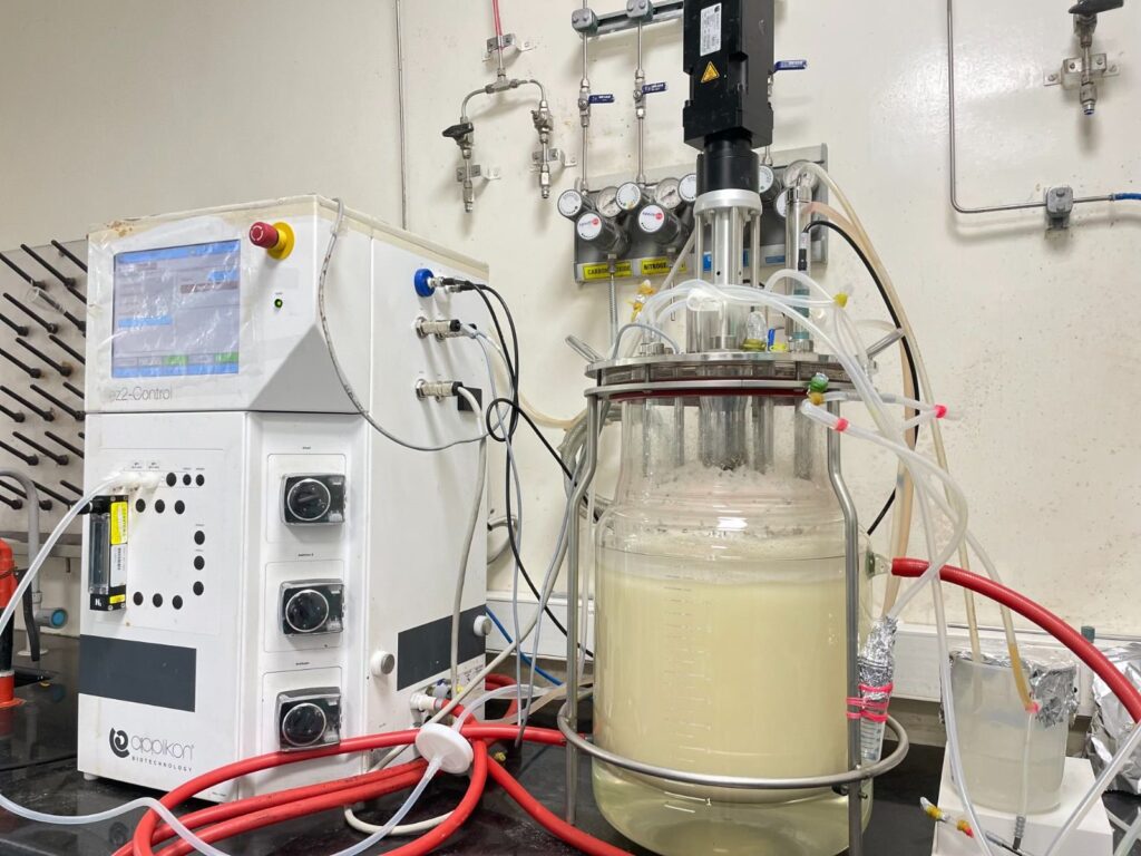 breast milk fat precision fermentation