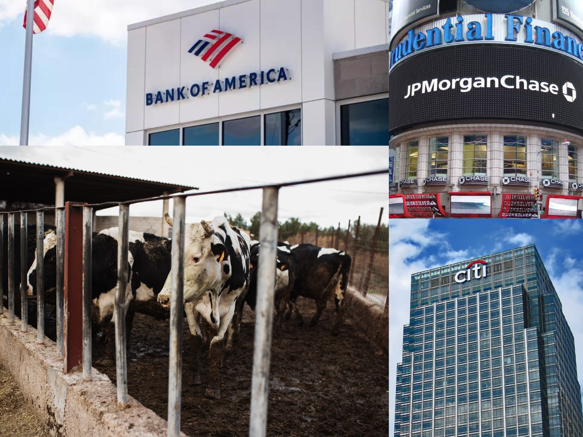 banks livestock financing