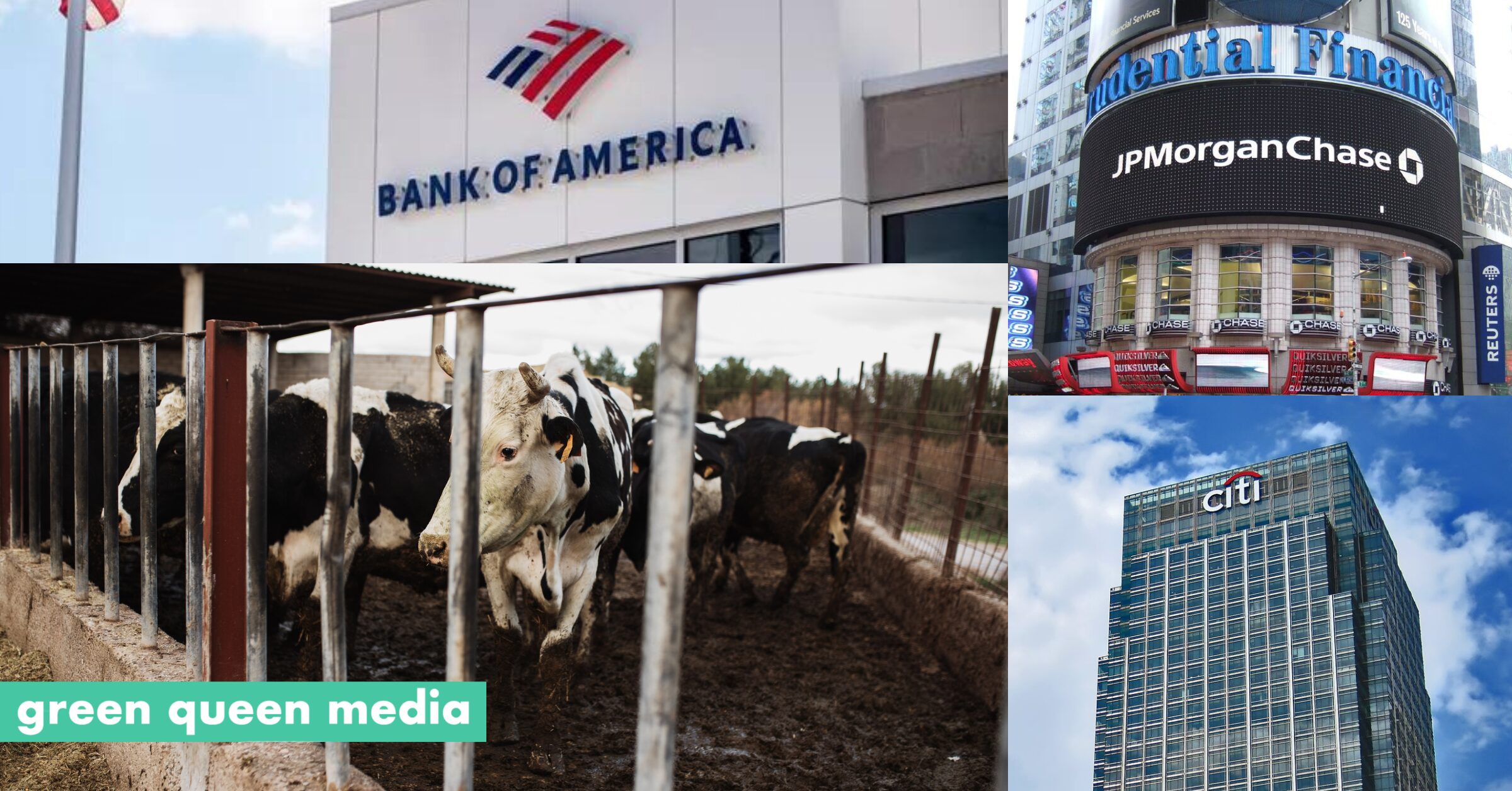 US Banks Have Spent $134B in Livestock Financing Since 2016 - Vimarsana News