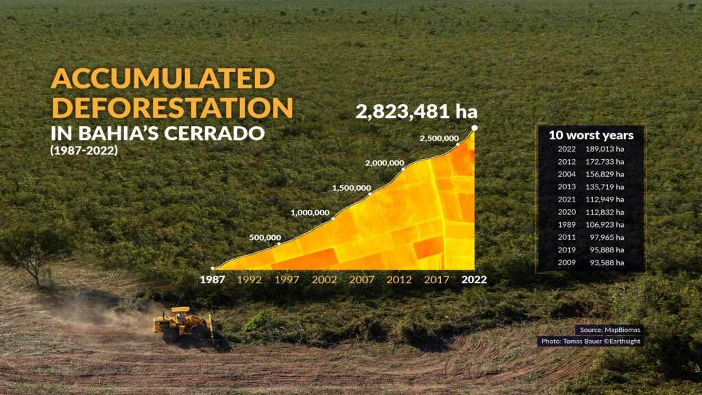 cotton illegal deforestation