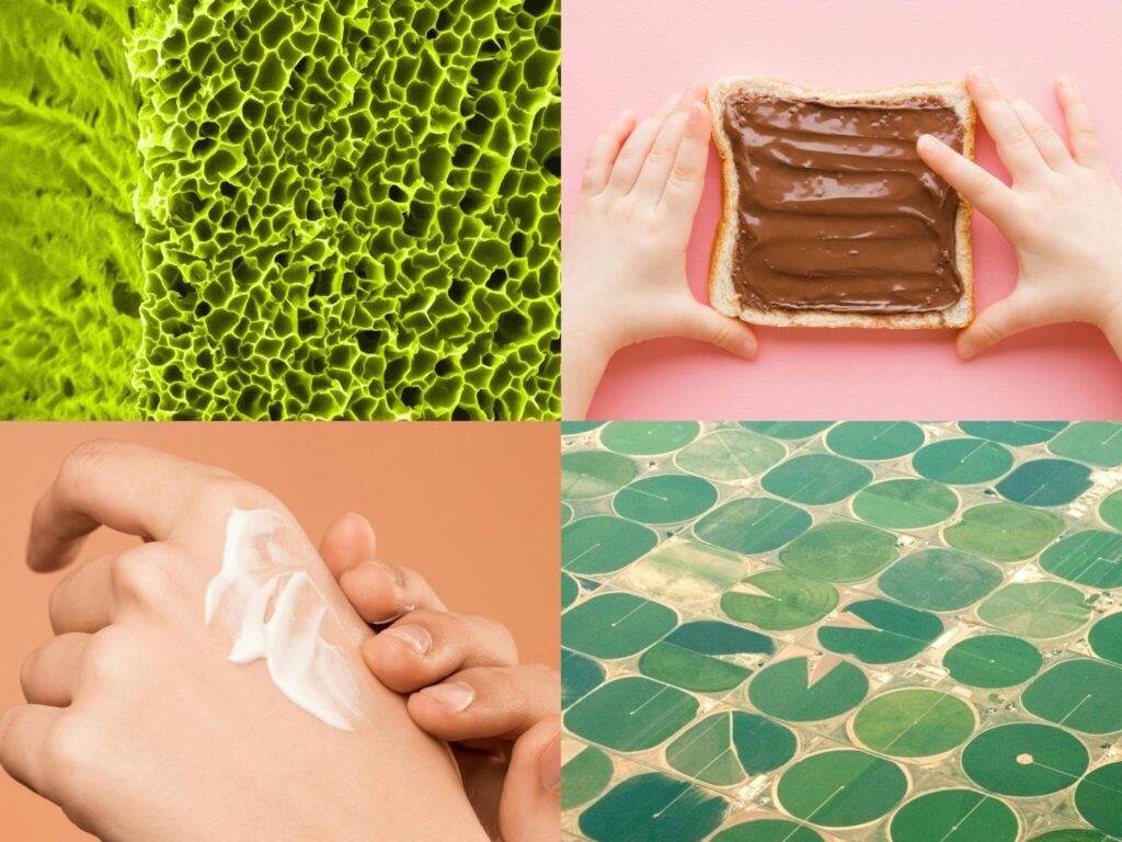 Ingredion Teams Up with Shiru to Advance Gut Health with AI-Discovered Novel Proteins