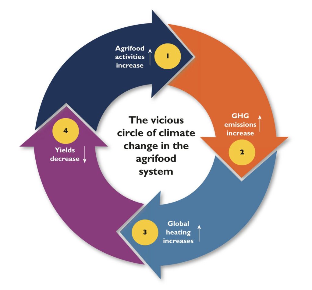 meat climate change