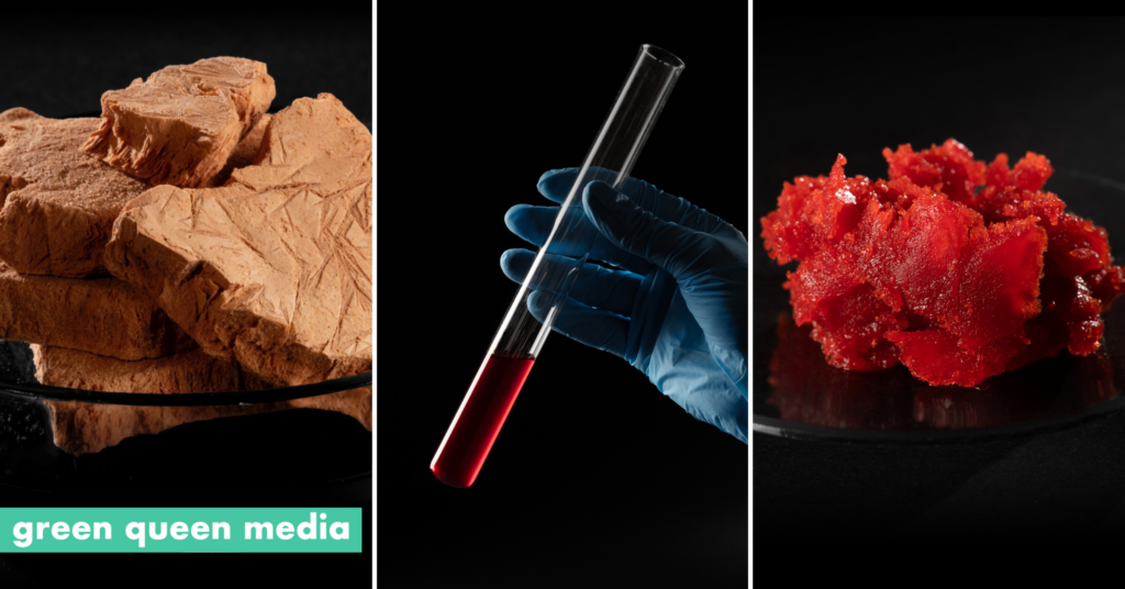 Äio Snaps Up €6.1M to Turn Wood & Farm Waste Into Palm Oil Alternatives