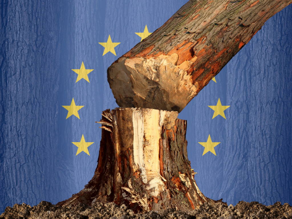 quy định phá rừng của eu