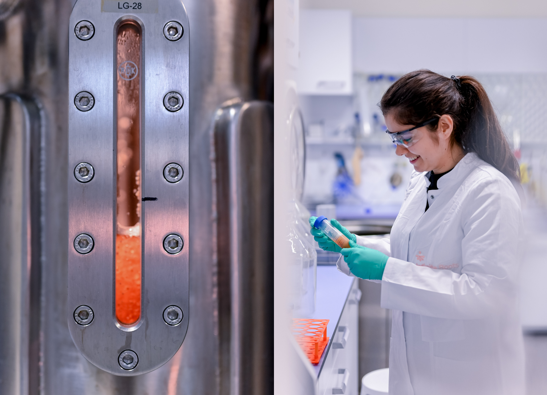 German Govt Grants €2.6M to Upcycle Whey Into Mycelium Protein