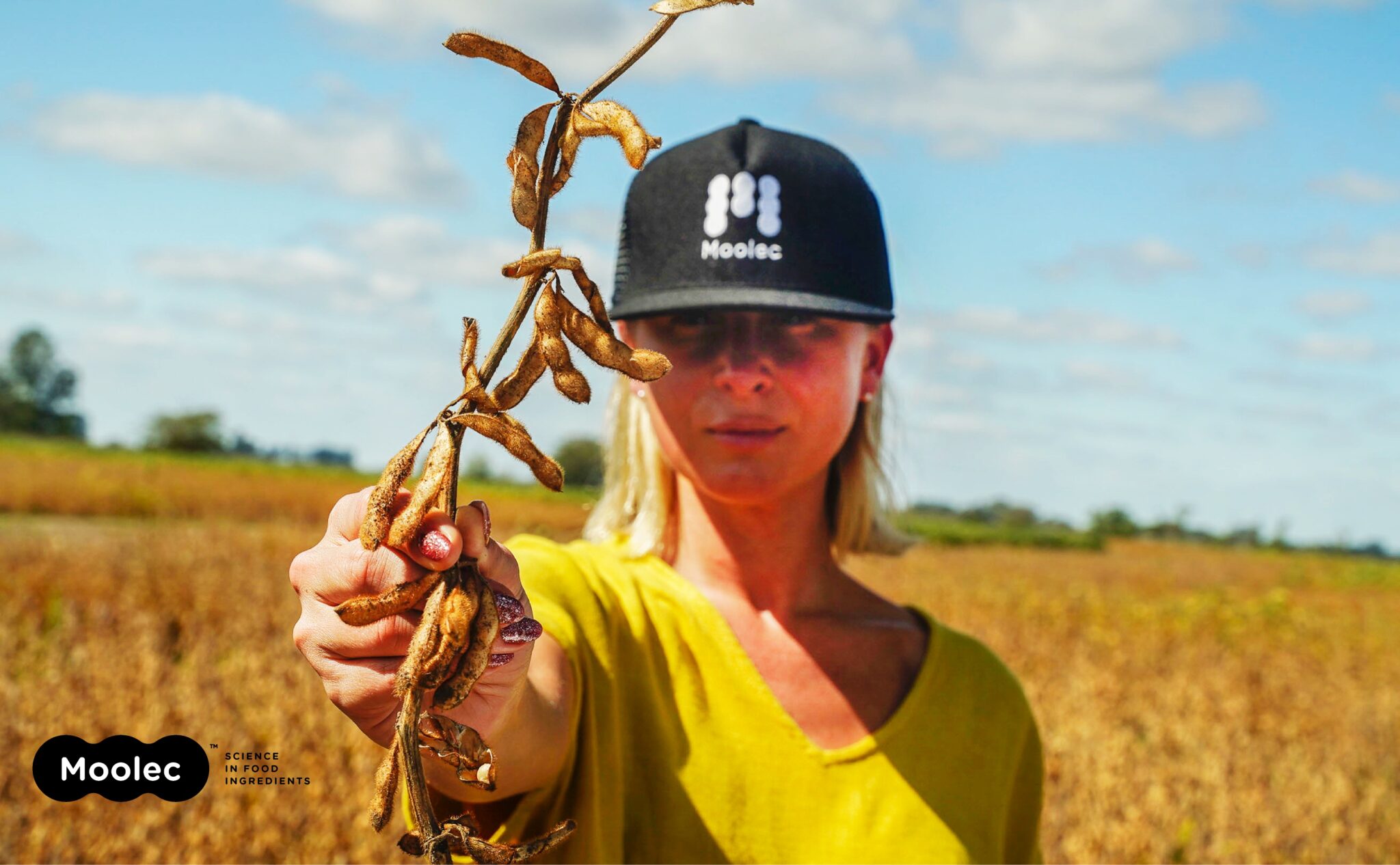 Moolec Earns USDA Nod for Peas That Produce Beef Protein