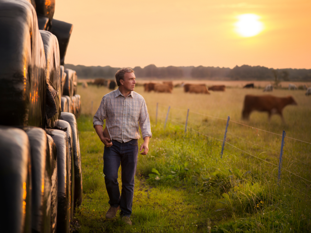 eit food protein diversification