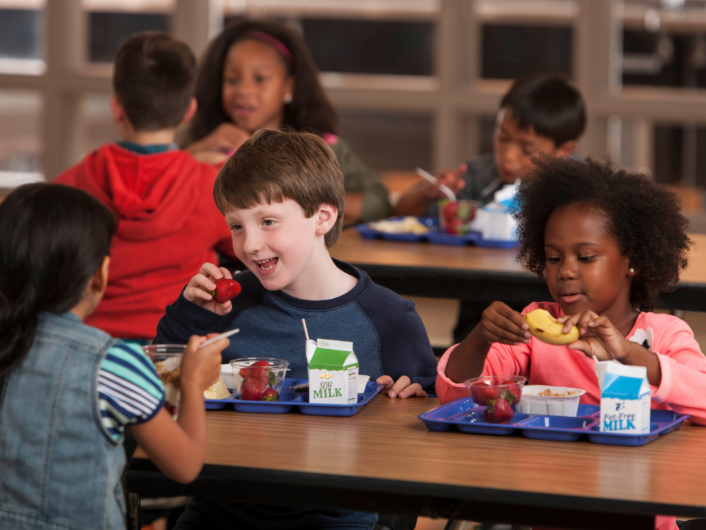 school lunch milk