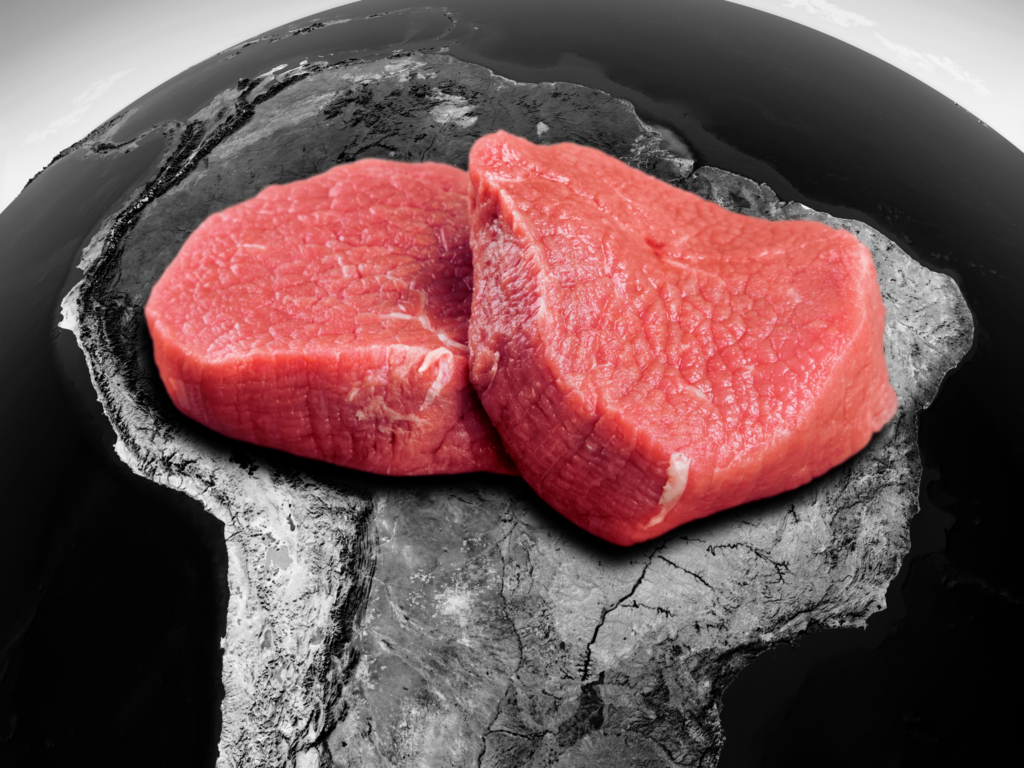 brazil beef emissions