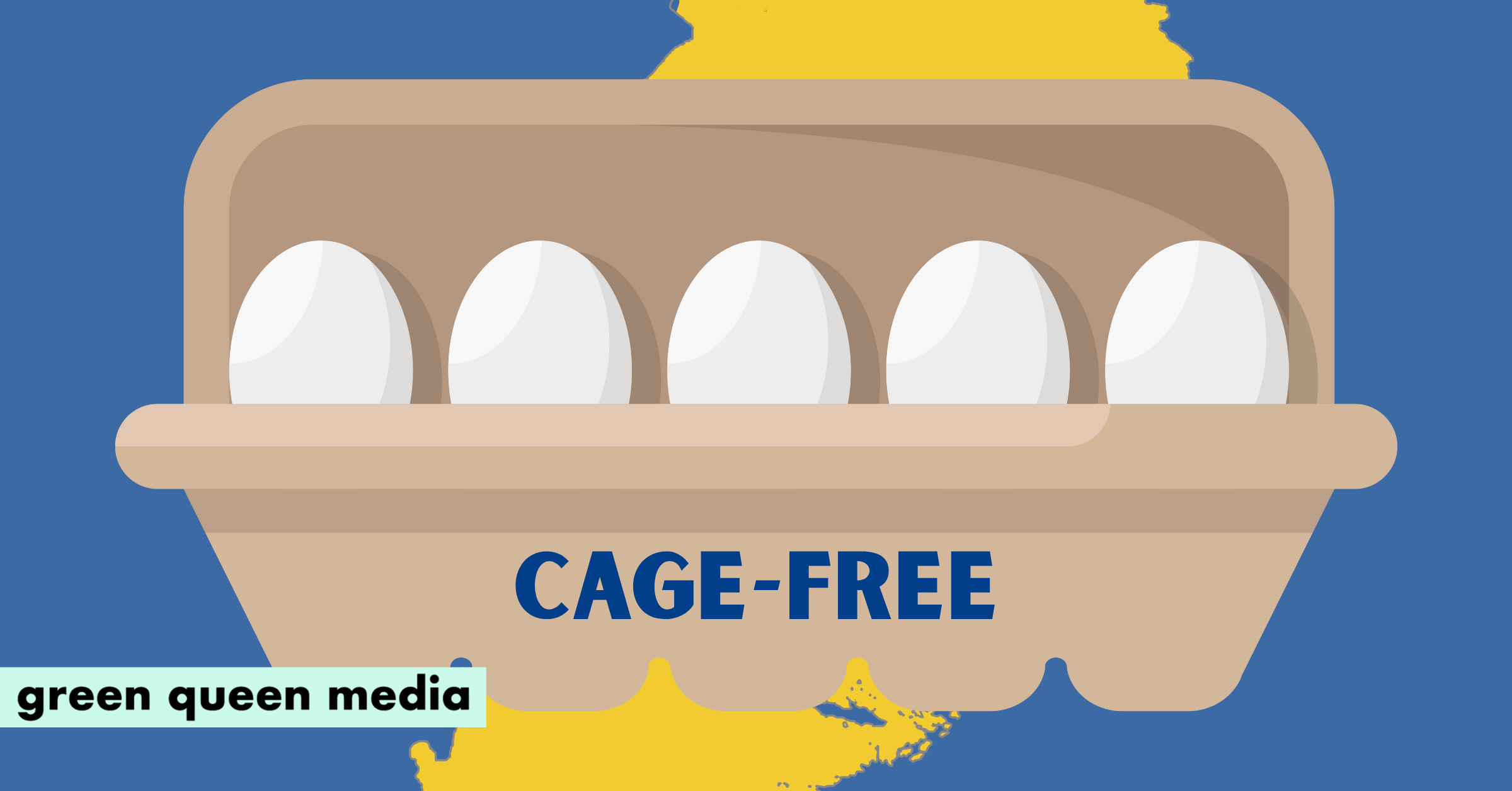 In A Victory for Animal Welfare, Sweden's Hens Are Officially Cage-Free