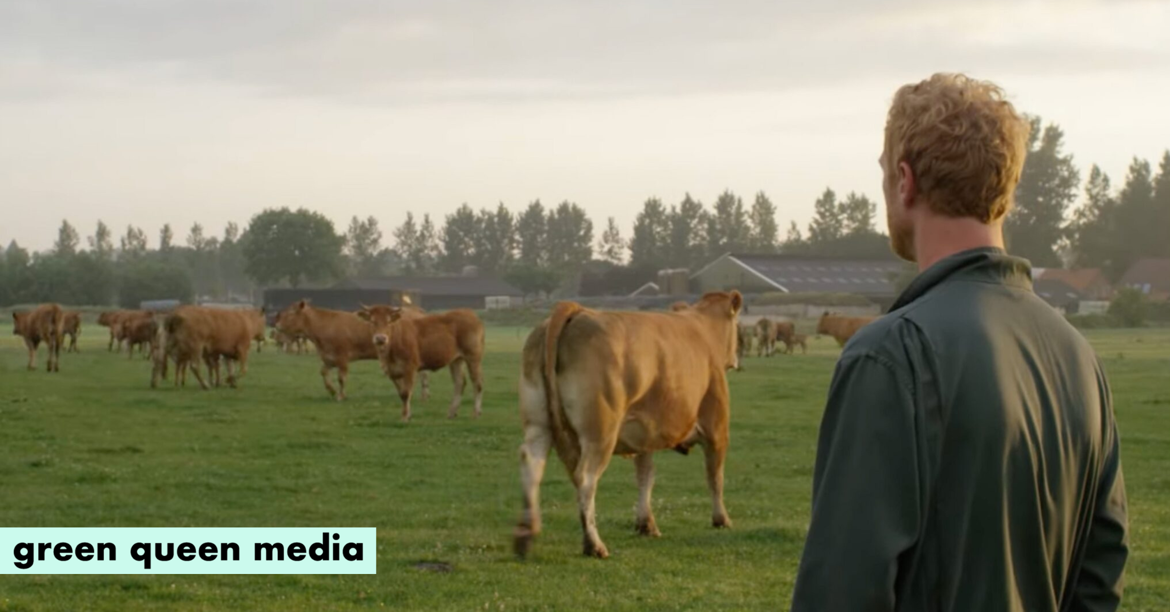 Cultivated Meat Can Benefit Farmers – This New Dutch Symposium Explores How
