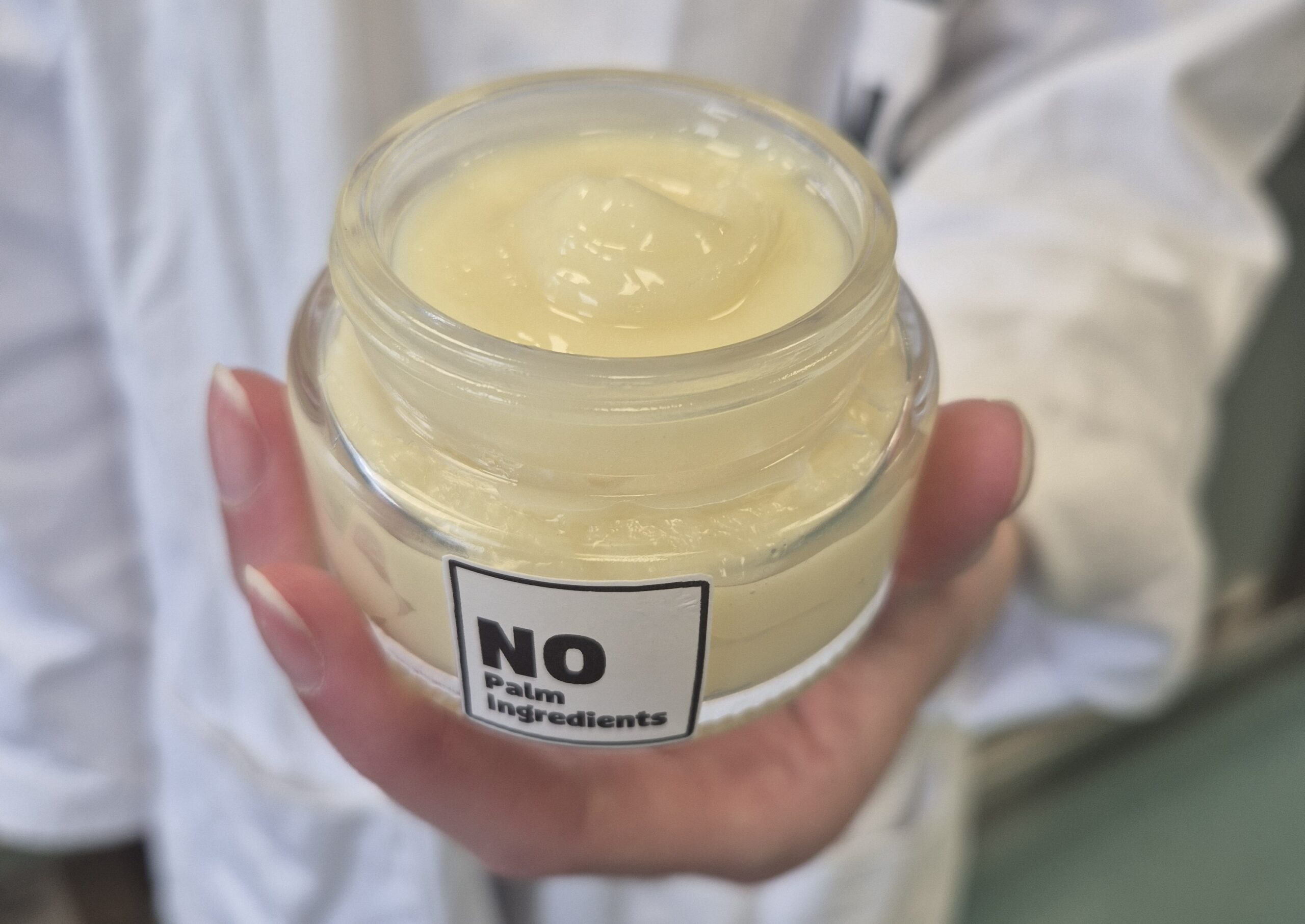 palm oil substitute