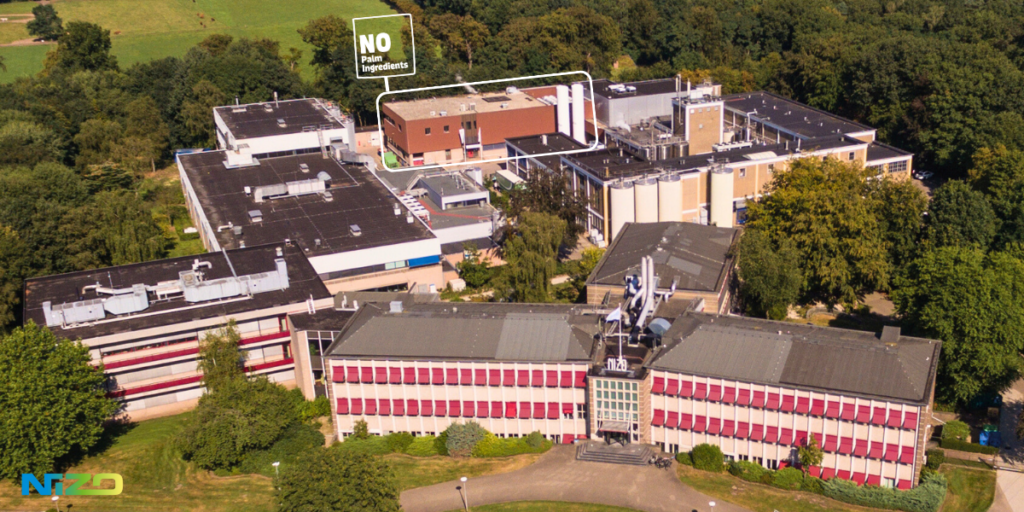 palm oil alternative