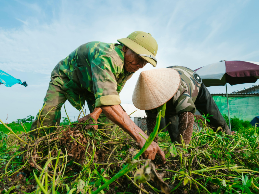 climate change food prices