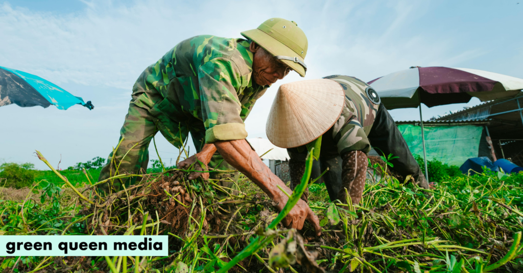Worthwhile or Trash? Project Drawdown’s New Tool Ranks Efficacy of 100+ Climate Solutions