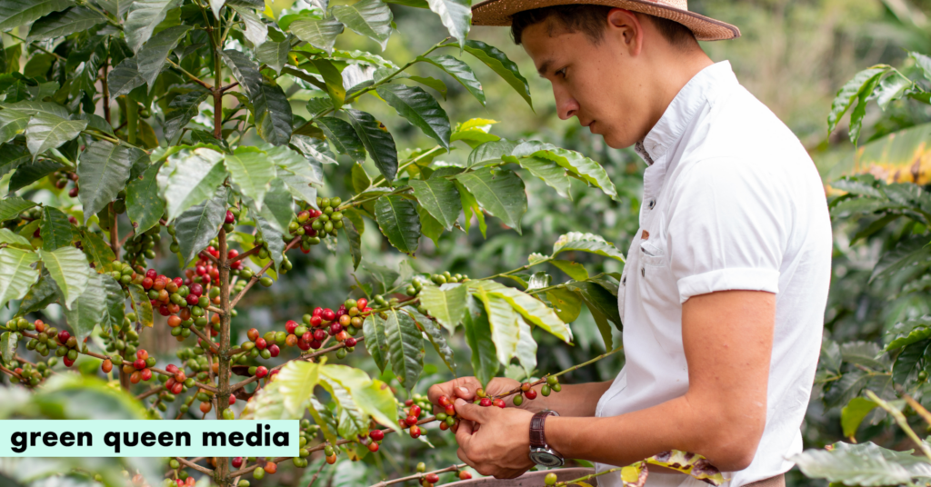 Even Fixing Climate Change May Not Save Coffee, Chocolate & Wine: Study