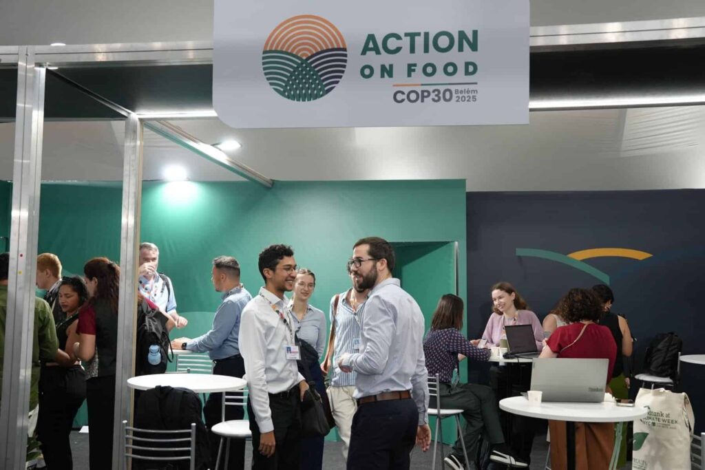 cop30 just transition