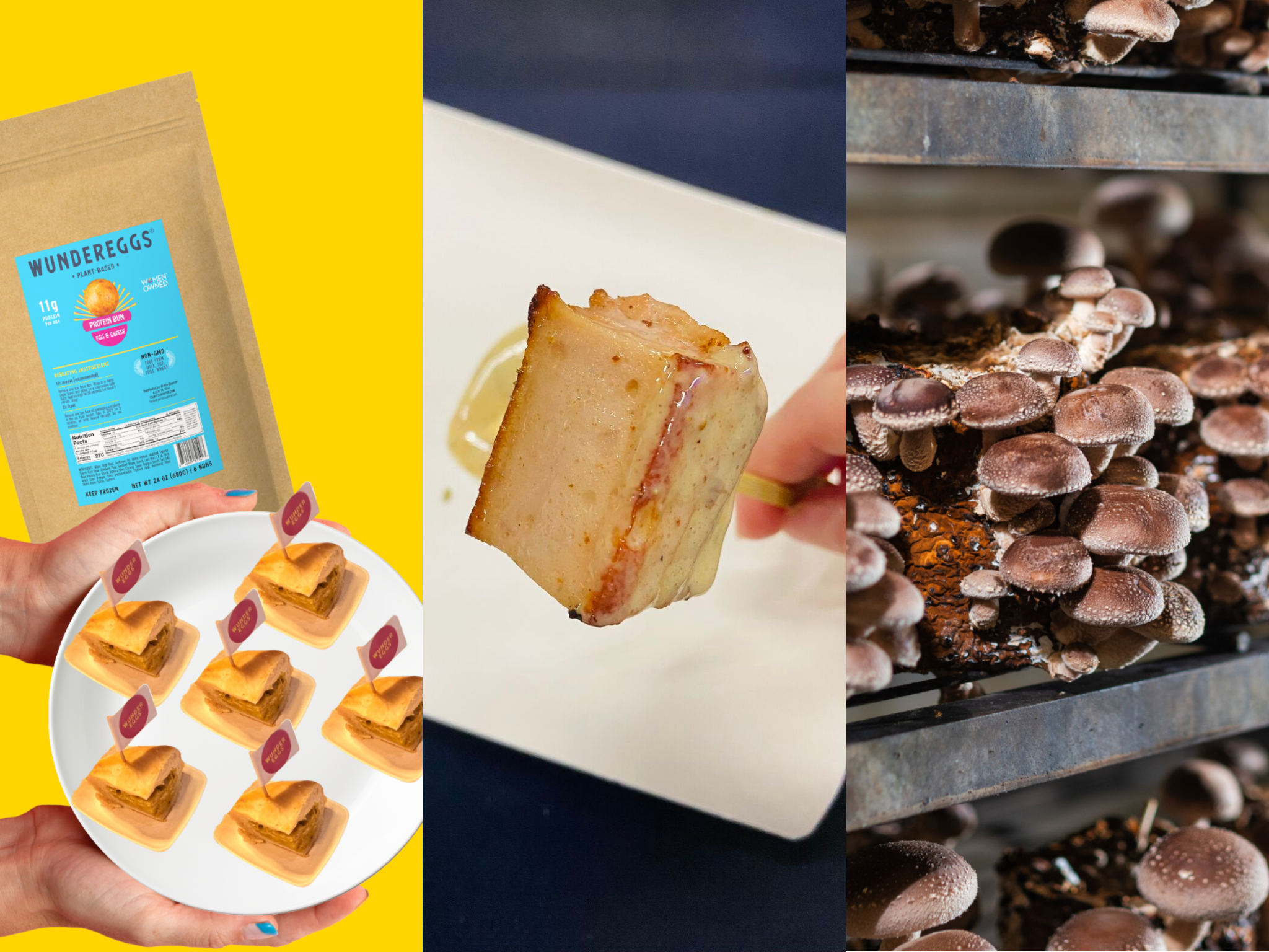 space f lab grown meat