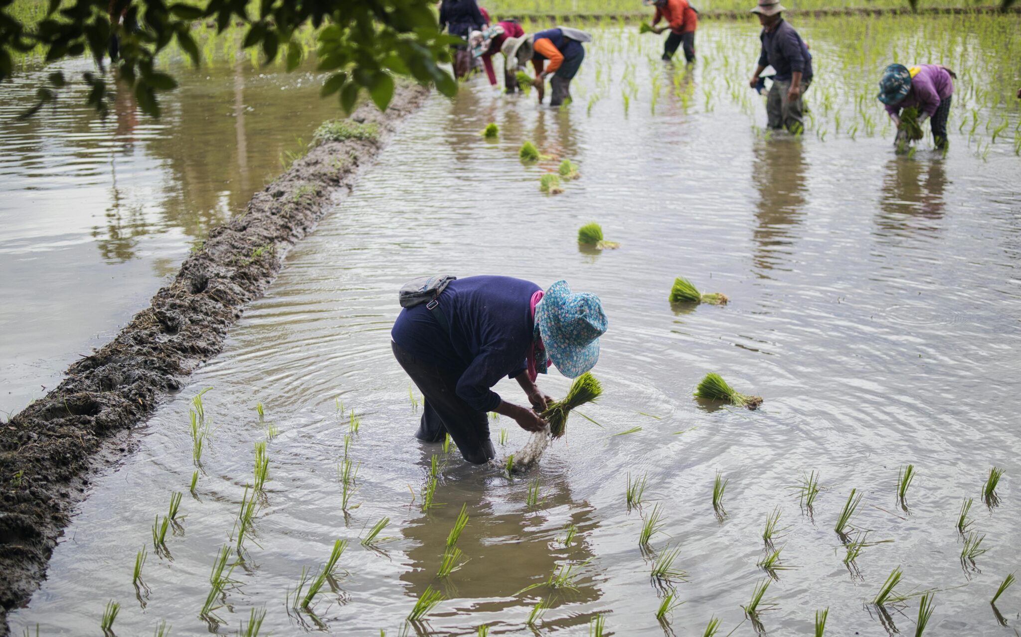 Global Methane Hub Launches $30M Project to Cut Methane Emissions from ...