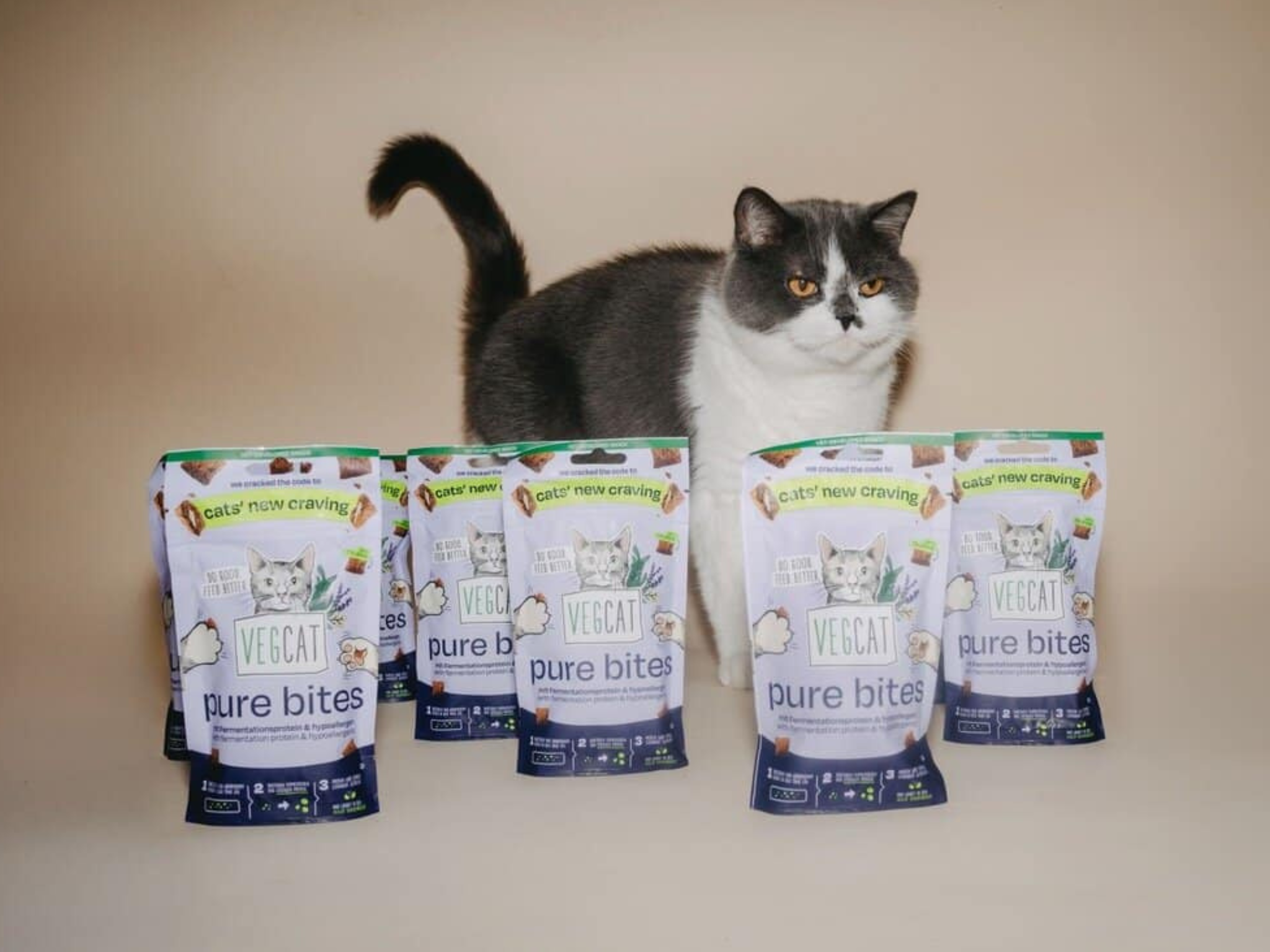 vegan cat food
