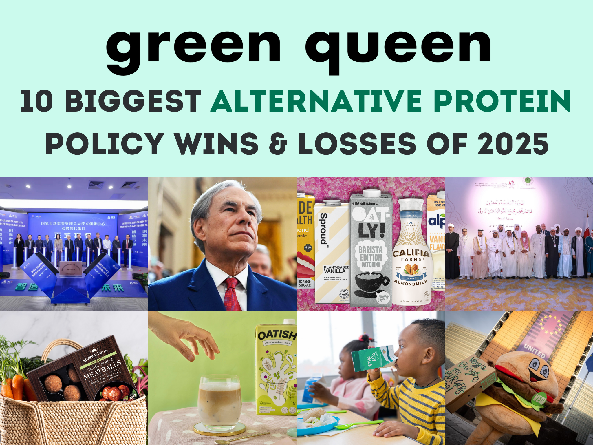 alternative protein policy