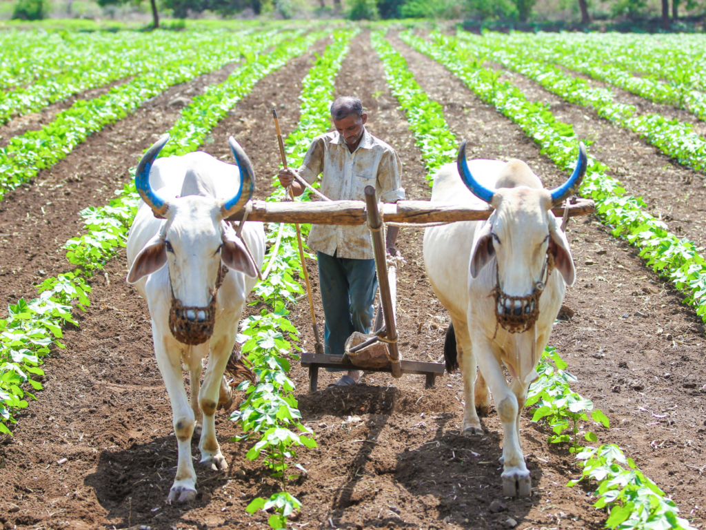 dfi sustainability innovation challenge